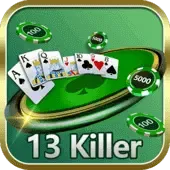 13 Killer game cover